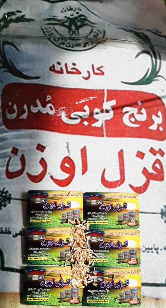 تنوع بالا
